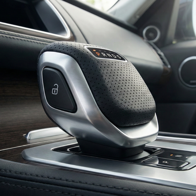 pommeau de levier de vitesse boite automatique