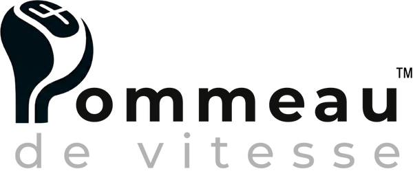 logo pommeau de vitesse