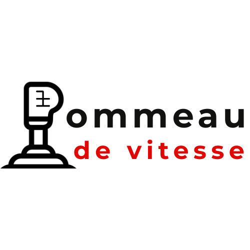 Pommeau de vitesse